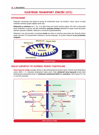 ProspekTUS Fakülte-Komite BİYOKİMYA