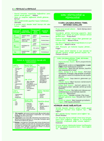 ProspekTUS FİZYOLOJİ ( 4.Baskı ) 