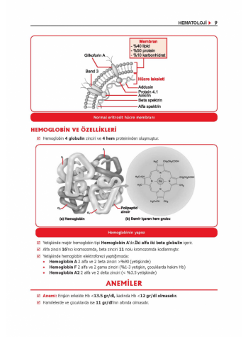 ProspekTUS Konu Kit. (9.Baskı) DAHİLİYE