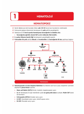 ProspekTUS Konu Kit. (9.Baskı) DAHİLİYE