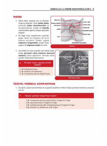 ProspekTUS Konu Kit. (9.Baskı) KADIN DOĞUM