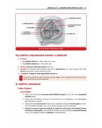 ProspekTUS Konu Kit. (9.Baskı) KADIN DOĞUM