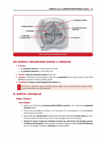 ProspekTUS Konu Kit. (9.Baskı) KADIN DOĞUM