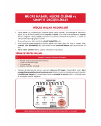 ProspekTUS PATOLOJİ Konu Kit. ( 6.Baskı )