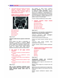 Prospektus Soruları Anatomi