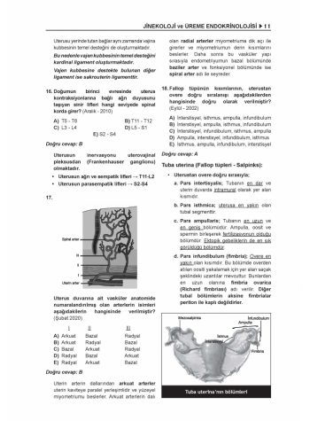 Prospektus TTS Kadın Doğum ( 6.Baskı )