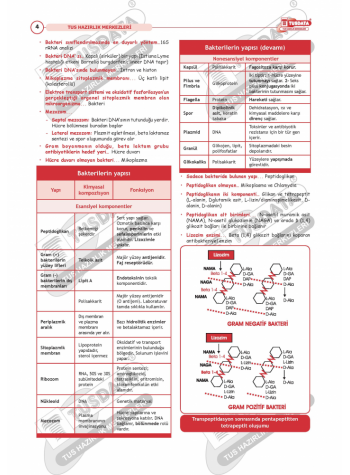 TUS Hızlı Tekrar Mikrobiyoloji ( 5 - 1 )