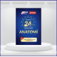 24 Açıklamalı Deneme Serisi - Anatomi