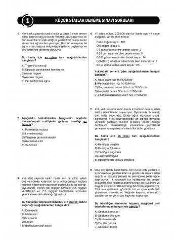 24 Açıklamalı Deneme Serisi - Küçük Stajlar 24 Açıklamalı Deneme Serisi - Küçük Stajlar