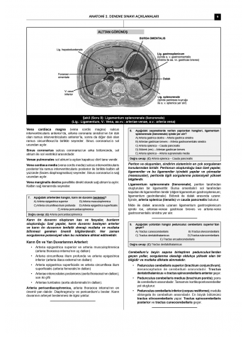 24 Açıklamalı Deneme Serisi 3.Baskı - Anatomi 