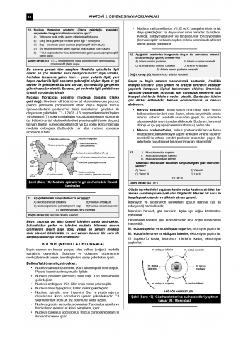 24 Açıklamalı Deneme Serisi 3.Baskı - Anatomi 