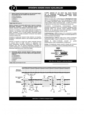 24 Açıklamalı Deneme Serisi 3.Baskı - Biyokimya