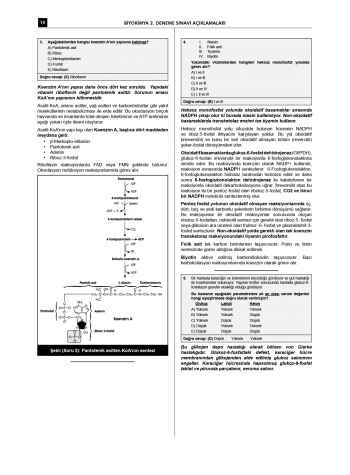 24 Açıklamalı Deneme Serisi 3.Baskı - Biyokimya