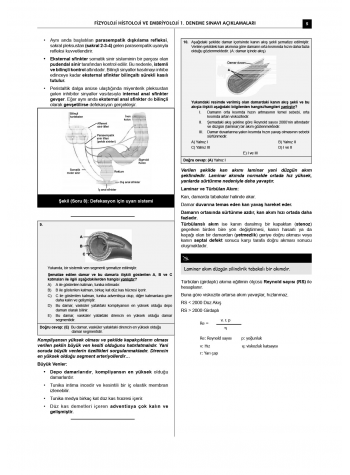 24 Açıklamalı Deneme Serisi 3.Baskı - Fizyoloji