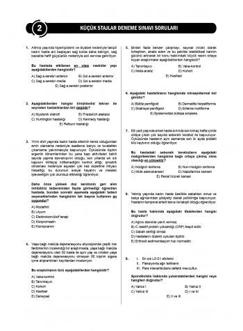 24 Açıklamalı Deneme Serisi 3.Baskı - Küçük Stajlar