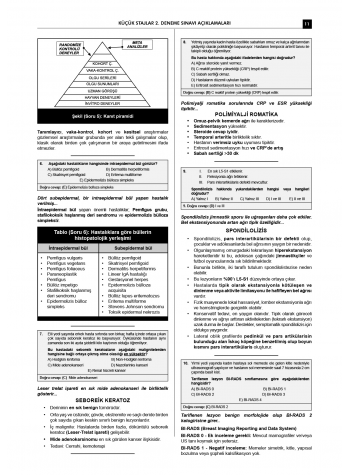 24 Açıklamalı Deneme Serisi 3.Baskı - Küçük Stajlar