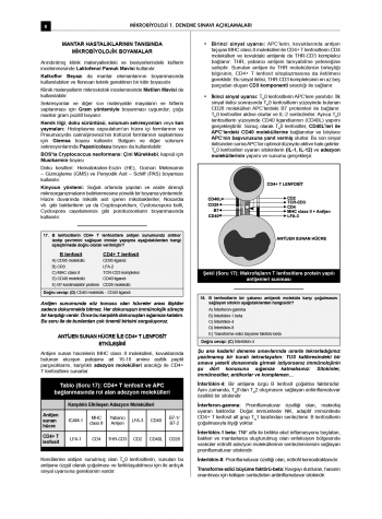 24 Açıklamalı Deneme Serisi 3.Baskı - Mikrobiyoloji 24 Açıklamalı Deneme Serisi 3.Baskı - Mikrobiyoloji