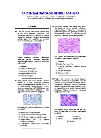 24 Açıklamalı Deneme Serisi 3.Baskı - Patoloji