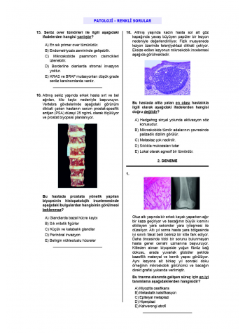 24 Açıklamalı Deneme Serisi 3.Baskı - Patoloji