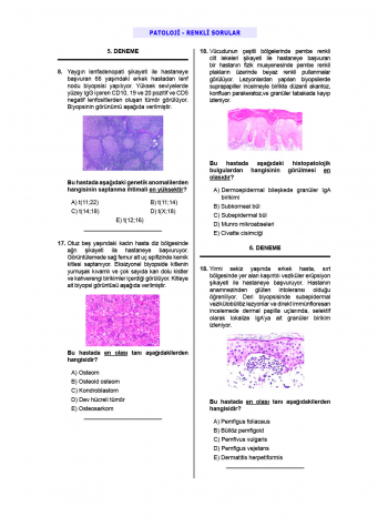 24 Açıklamalı Deneme Serisi 3.Baskı - Patoloji