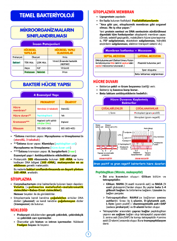 SPEETUS Kampı Mikrobiyoloji ( 2.Baskı ) SPEETUS Kampı Mikrobiyoloji ( 2.Baskı )