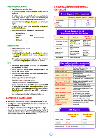 SPEETUS Kampı Mikrobiyoloji ( 2.Baskı ) SPEETUS Kampı Mikrobiyoloji ( 2.Baskı )