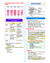SPEETUS Kampı Mikrobiyoloji ( 2.Baskı )