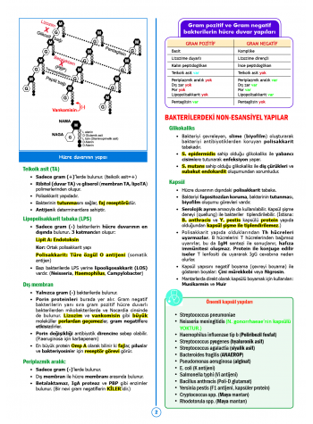 SPEETUS Kampı Mikrobiyoloji ( 2.Baskı ) SPEETUS Kampı Mikrobiyoloji ( 2.Baskı )