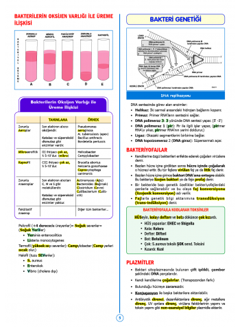 SPEETUS Kampı Mikrobiyoloji ( 2.Baskı ) SPEETUS Kampı Mikrobiyoloji ( 2.Baskı )
