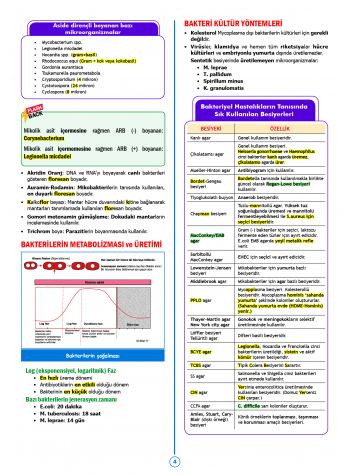 SPEETUS Kampı Mikrobiyoloji ( 2.Baskı ) SPEETUS Kampı Mikrobiyoloji ( 2.Baskı )