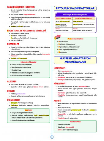 SPEETUS Kampı Patoloji ( 2.Baskı ) SPEETUS Kampı Patoloji ( 2.Baskı )