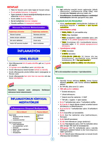 SPEETUS Kampı Patoloji ( 2.Baskı ) SPEETUS Kampı Patoloji ( 2.Baskı )
