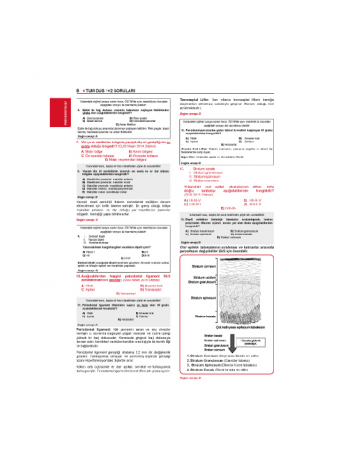 Tüm Dus Soruları 1+2 ( 2.Baskı ) Klinik / 3.Cilt Tüm Dus Soruları 1+2 ( 2.Baskı ) Klinik / 3.Cilt
