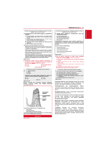 Tüm Dus Soruları 1+2 ( 2.Baskı ) Klinik / 3.Cilt Tüm Dus Soruları 1+2 ( 2.Baskı ) Klinik / 3.Cilt
