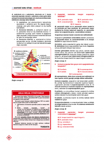 Klinisyen Prime Soruları Anatomi ( 17.Baskı )