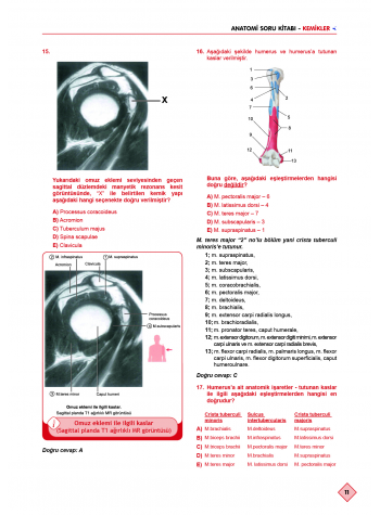 Klinisyen Prime Soruları Anatomi ( 17.Baskı )