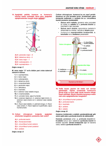 Klinisyen Soruları Anatomi ( 10.Baskı )