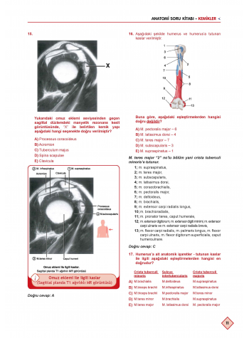 Klinisyen Soruları Anatomi ( 13.Baskı )