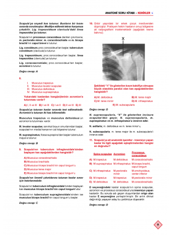 Klinisyen Soruları Anatomi ( 13.Baskı )