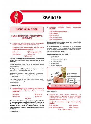 Klinisyen Soruları Anatomi ( 13.Baskı ) Klinisyen Soruları Anatomi ( 13.Baskı )