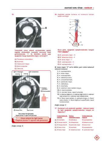 Klinisyen Soruları Anatomi ( 13.Baskı ) Klinisyen Soruları Anatomi ( 13.Baskı )