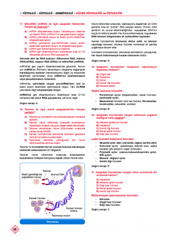Klinisyen Prime Soruları Fizyoloji ( 16.Baskı )