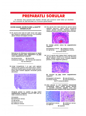 Klinisyen Prime Soruları Patoloji ( 21.Baskı )