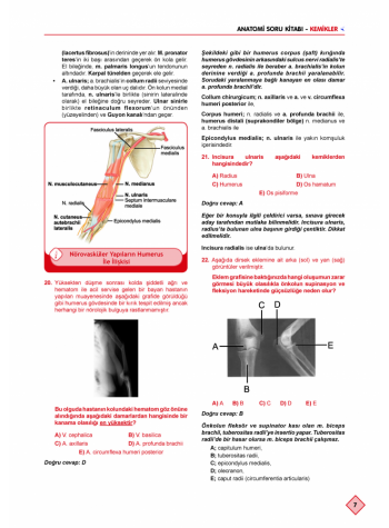 Klinisyen Soruları Anatomi ( 10.Baskı )