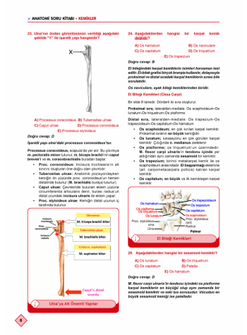 Klinisyen Soruları Anatomi ( 10.Baskı )