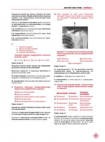 Klinisyen Soruları Anatomi ( 11.Baskı )