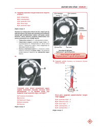 Klinisyen Soruları Anatomi ( 11.Baskı )