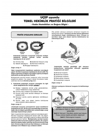 Klinisyen Soruları Kadın Doğum ( 14.Baskı )