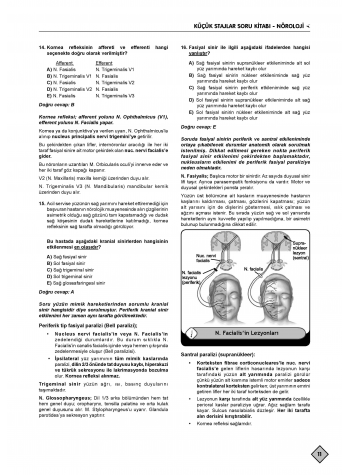 Klinisyen Soruları Küçük Stajlar ( 11.Baskı )