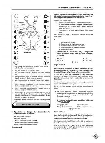 Klinisyen Soruları Küçük Stajlar ( 11.Baskı )